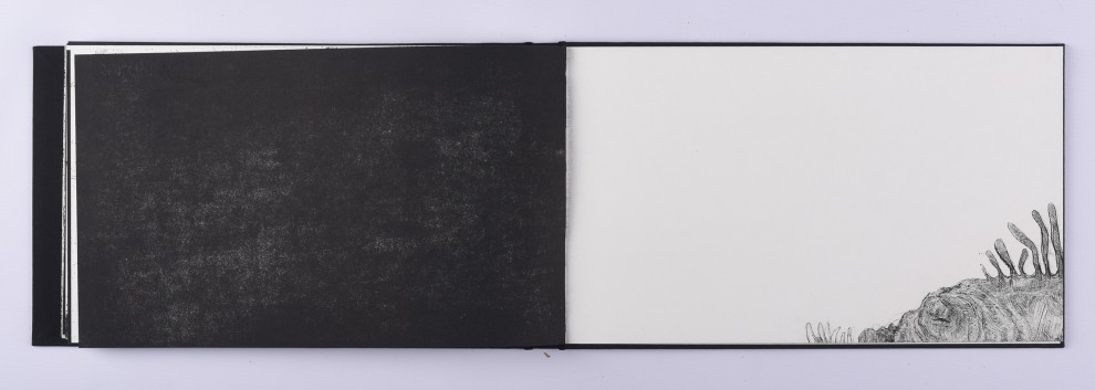 34. akwaforta, akwatinta, 21.5 x 73